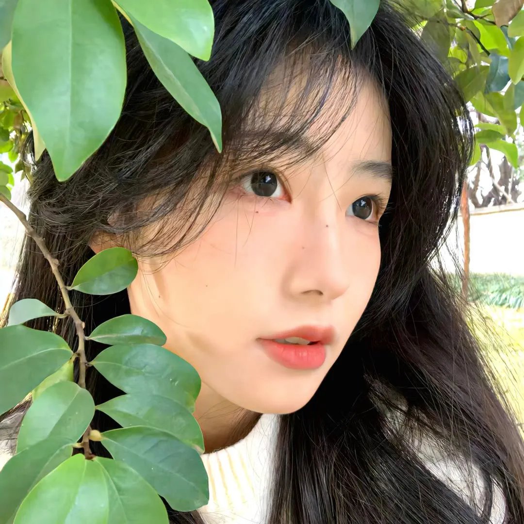 甜了青梅配竹马
